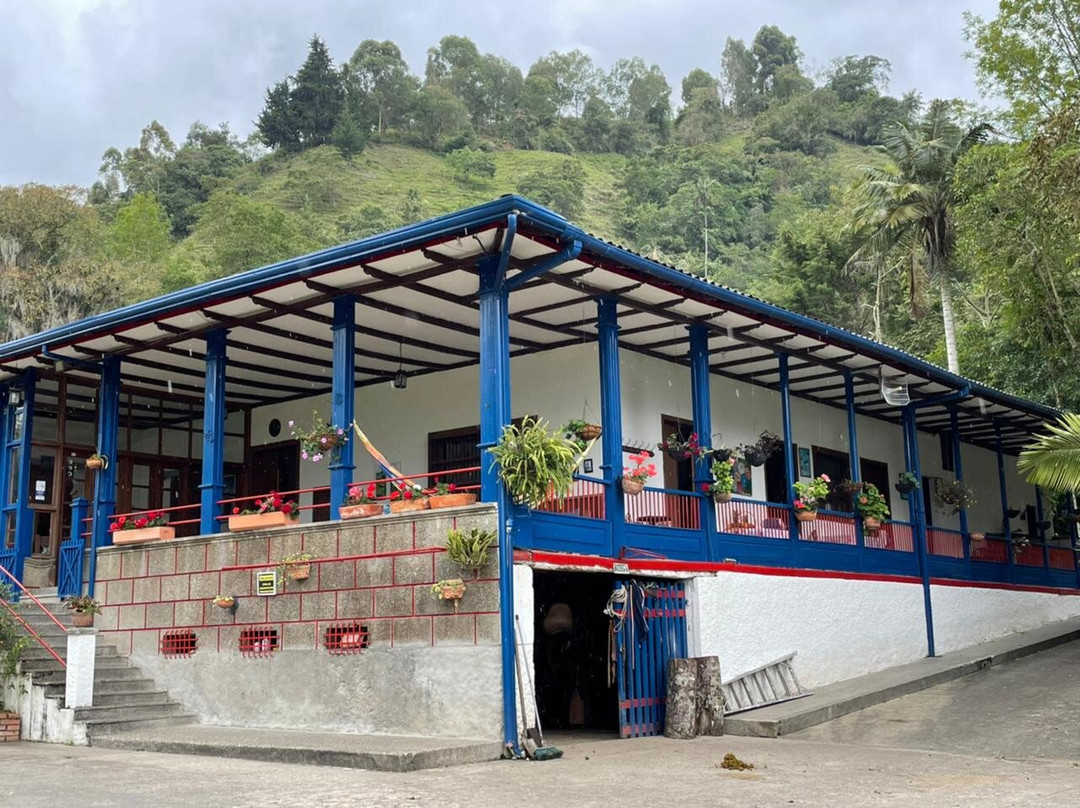 Reserva Guadalajara主图