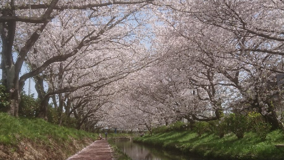 Konosu Fukiage Motoarakawa Hashizukushi-鸿巢市必去景点