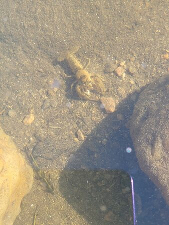 Lakota Lake Picnic Area-基斯通必去景点