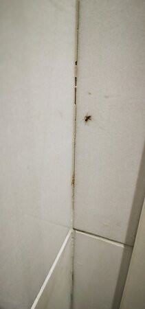 Meraki Beach Hotel主图