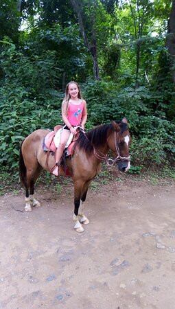 Horses Hiking Conchal Beach景点图片