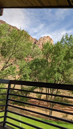 Desert Pearl Inn主图