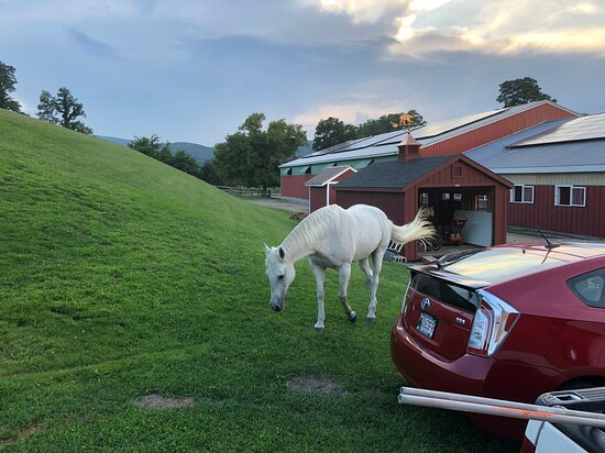 Clover Hill Farm-浴室