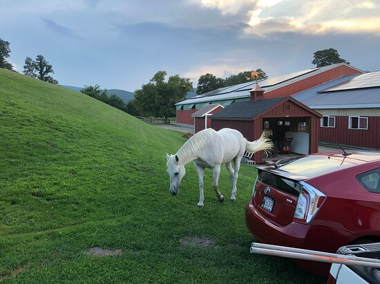 Clover Hill Farm主图