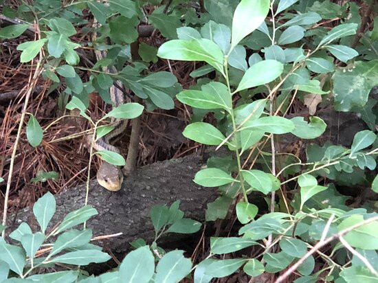 Melon Bluff Nature Center-Sunbury必去景点