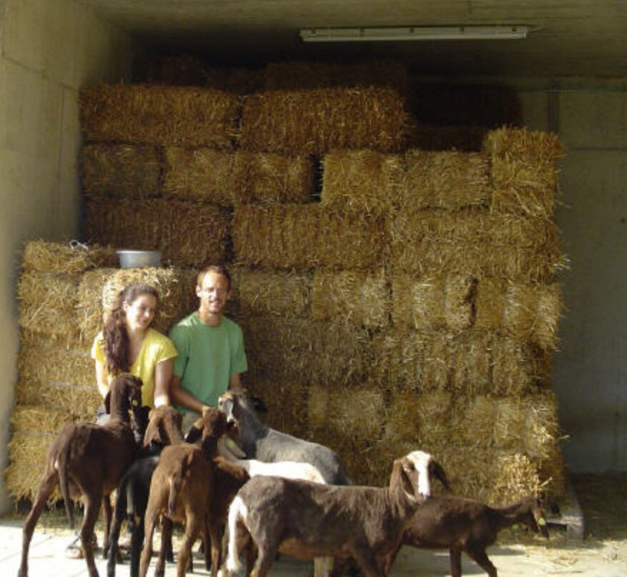 Vaikuntha Farm