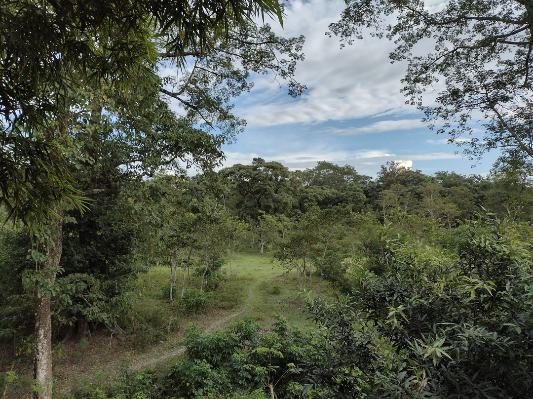 The Jungle Book Resort
