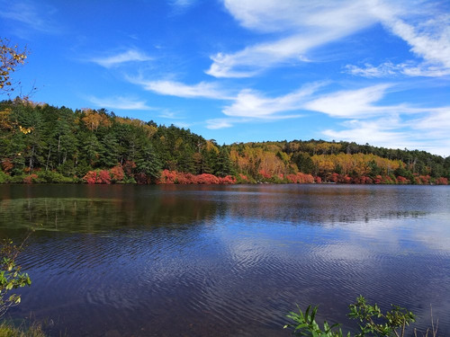 南佐久郡旅游景点-Pond Shirakoma