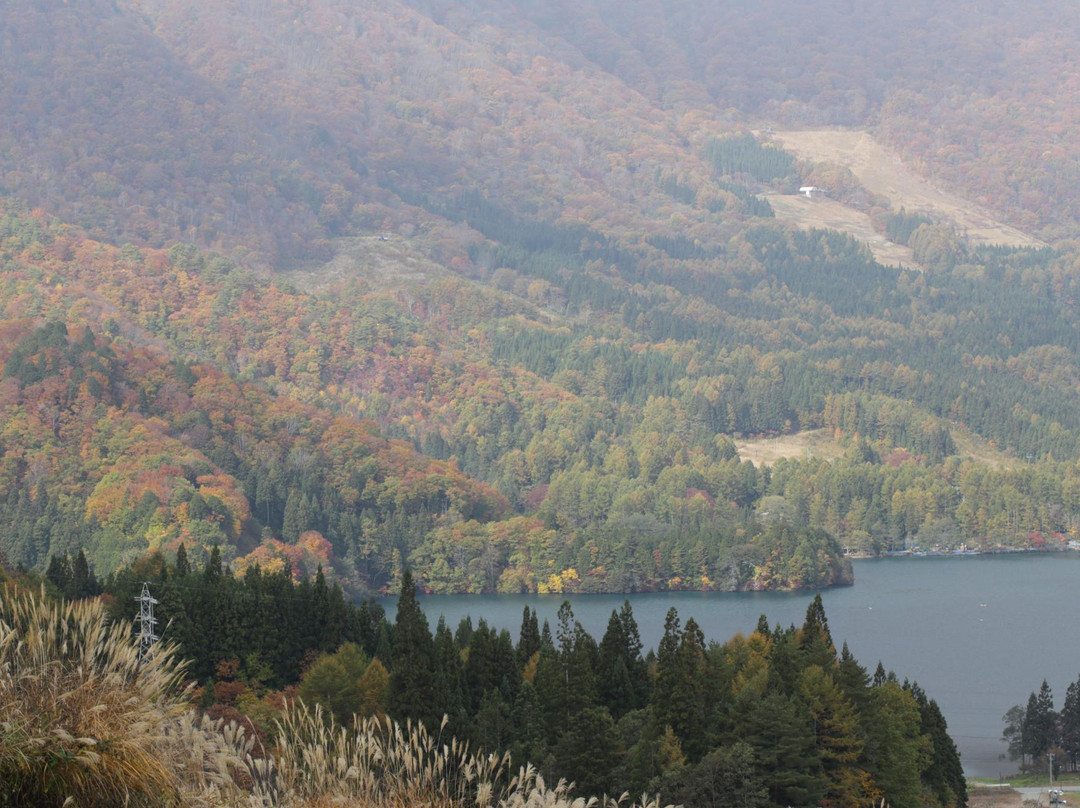 Yanaba Snow & Green Park-大町市必去景点