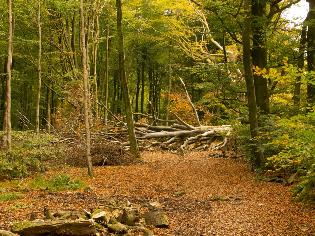 Cranmore旅游攻略图片