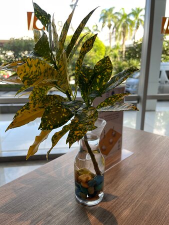 Novotel Makassar Grand Shayla-餐饮