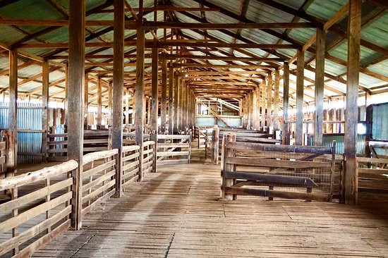 Yanga National Park-Balranald必去景点