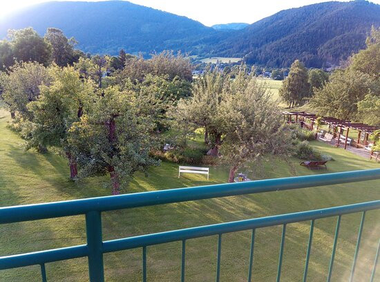 Schmirl Gasthof主图