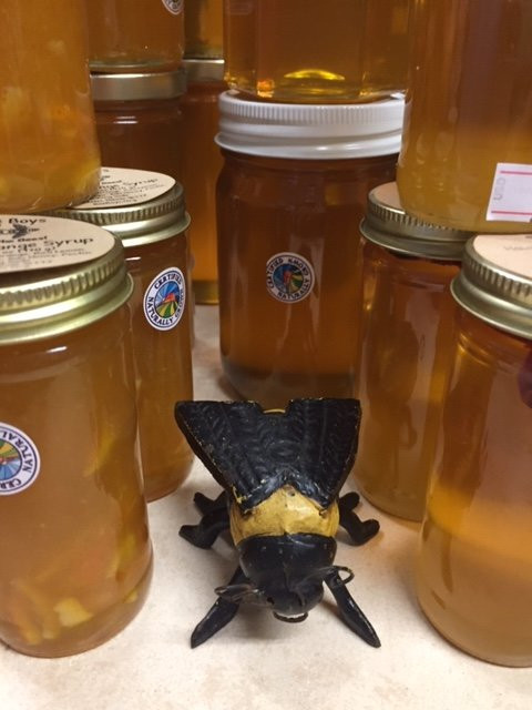 Bee Boys Bee Space-凯鲁瓦-柯纳必去景点