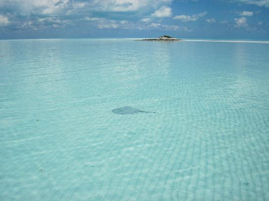 Exuma Cays Adventures-大埃克苏马必去景点