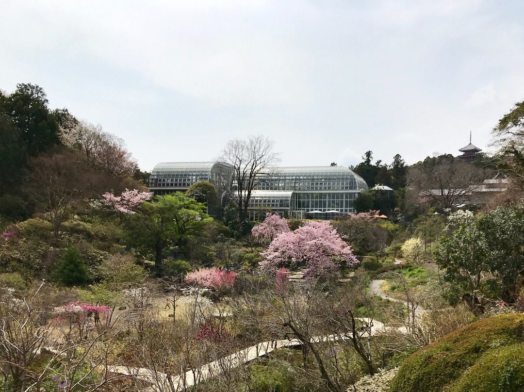 The Kochi Prefectural Makino Botanical Garden景点图片