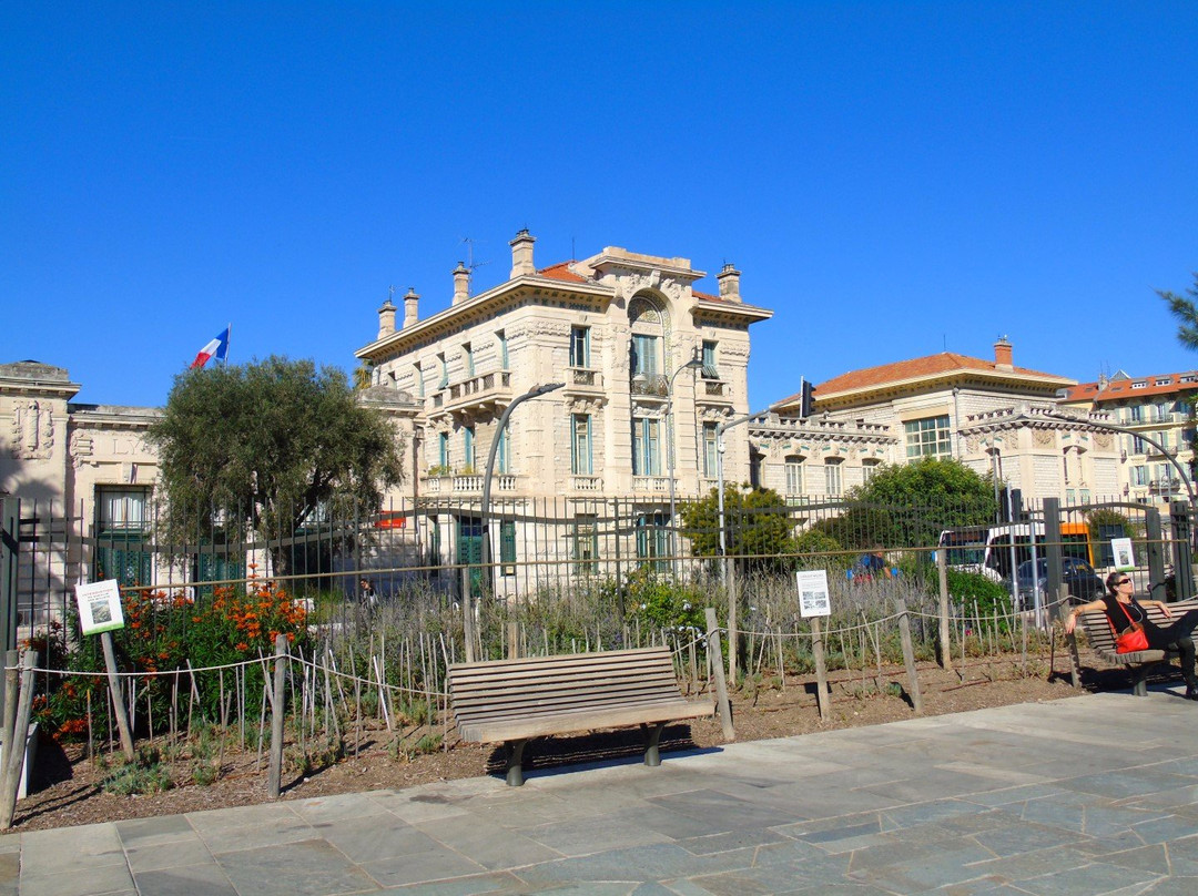 Lycée Massena景点图片