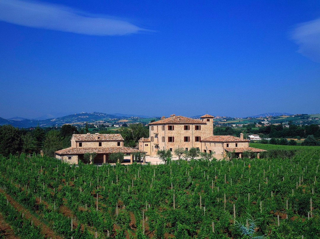 TENUTA DEL TEMPIO ANTICO
