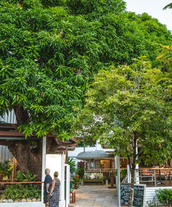 Melaleuca Port Douglas餐厅图片