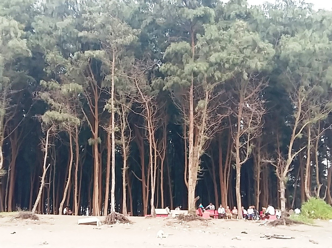 Nargol旅游攻略图片