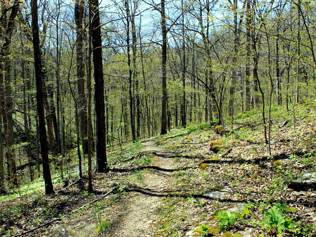 Versailles旅游攻略图片