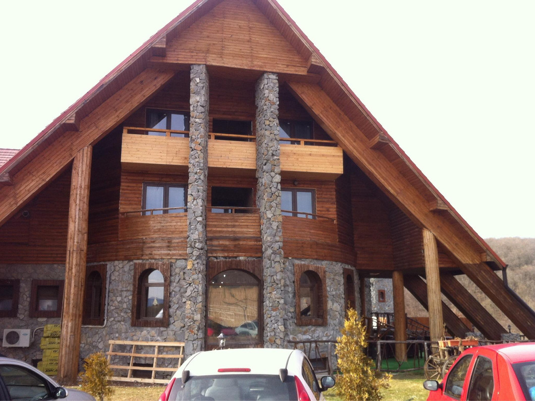 Pension Domeniul Regilor
