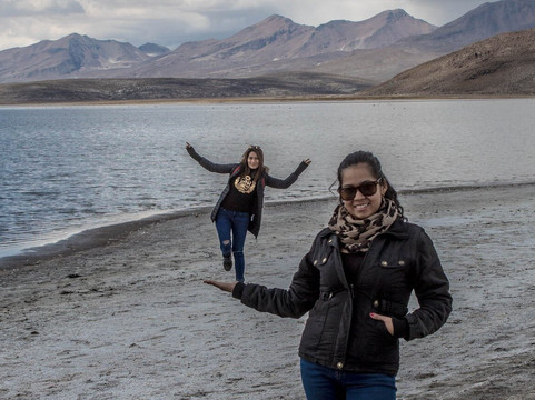 COOL MONKEY AQP - OPERADOR TURISTICO