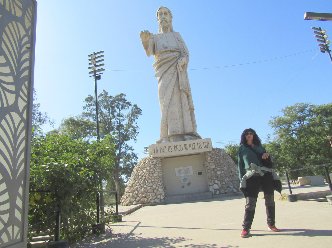 Monumento Al Cristo Redentor景点图片