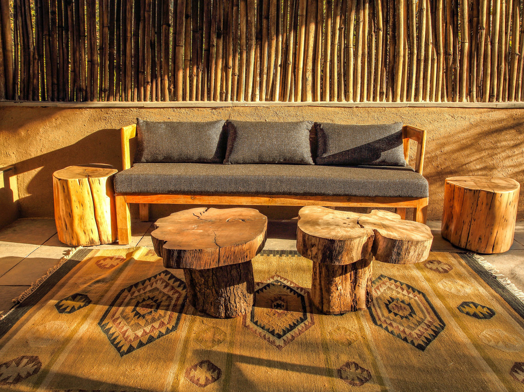 Bija Kheri旅游攻略图片