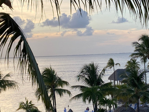 Opal Spa - Reefhouse Resort & Marina