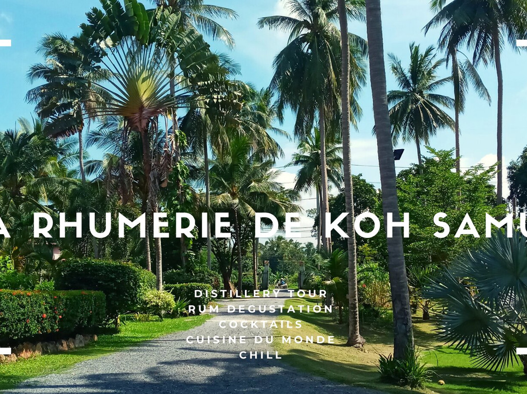 蓝赛特海滩旅游景点-La Rhumerie De Koh Samui