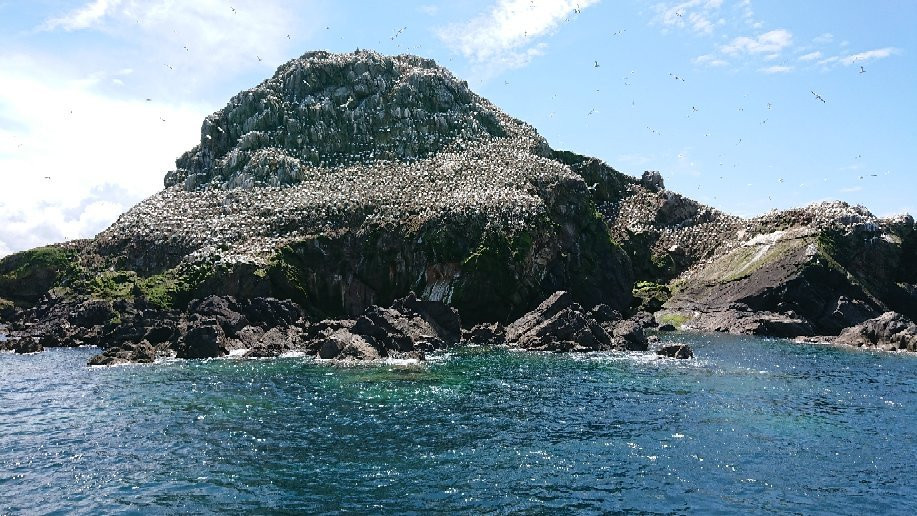 Réserve Naturelle des Sept Îles景点图片