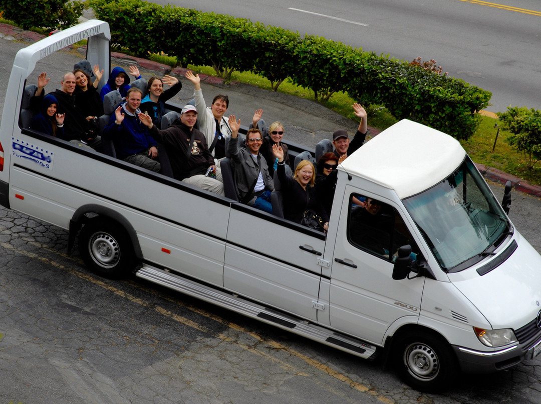 Open Bus Tours景点图片