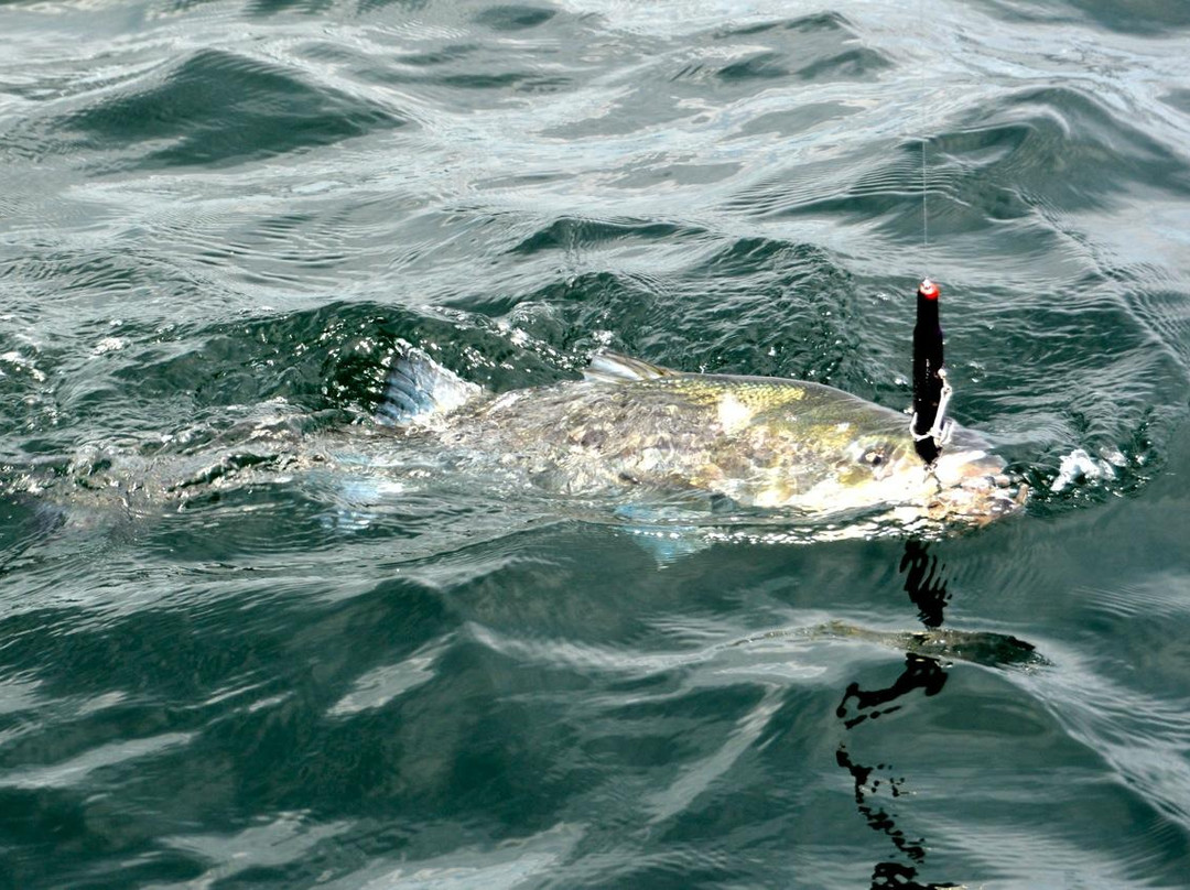 Reel Deal Fishing Charters-Truro必去景点