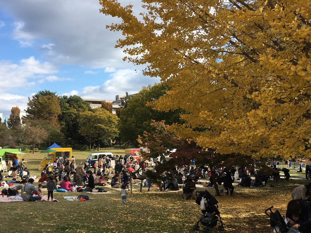 Musashi Kokubunji Park