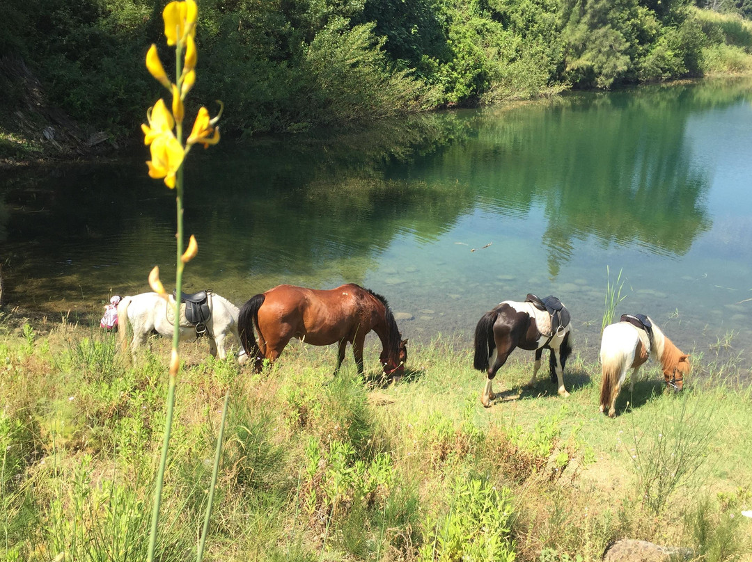Aux Poneys d Eden-Canale-di-Verde必去景点