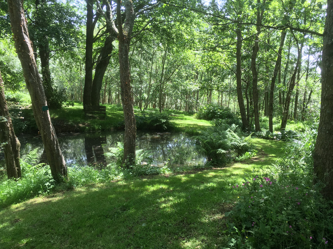 Stone Lane Gardens景点图片