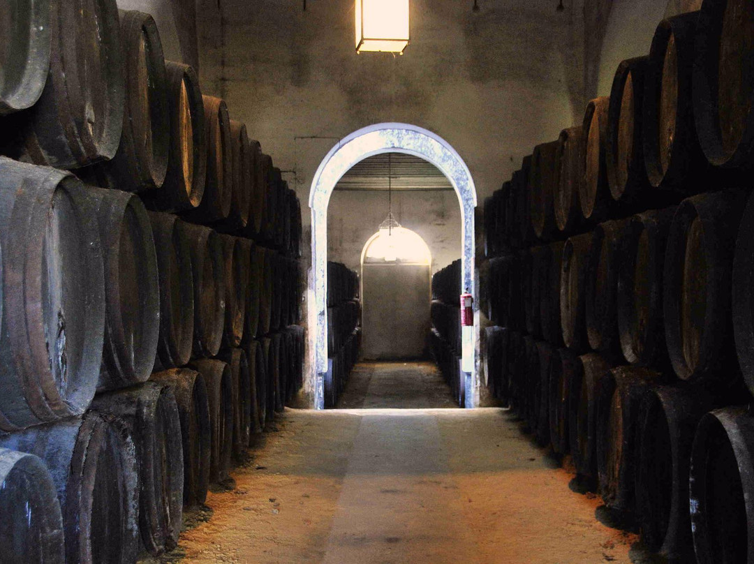 Bodegas Argueso景点图片