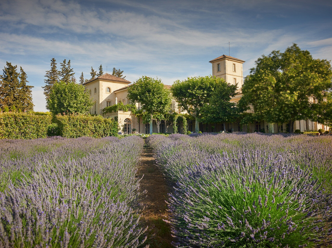 Château Gigognan景点图片