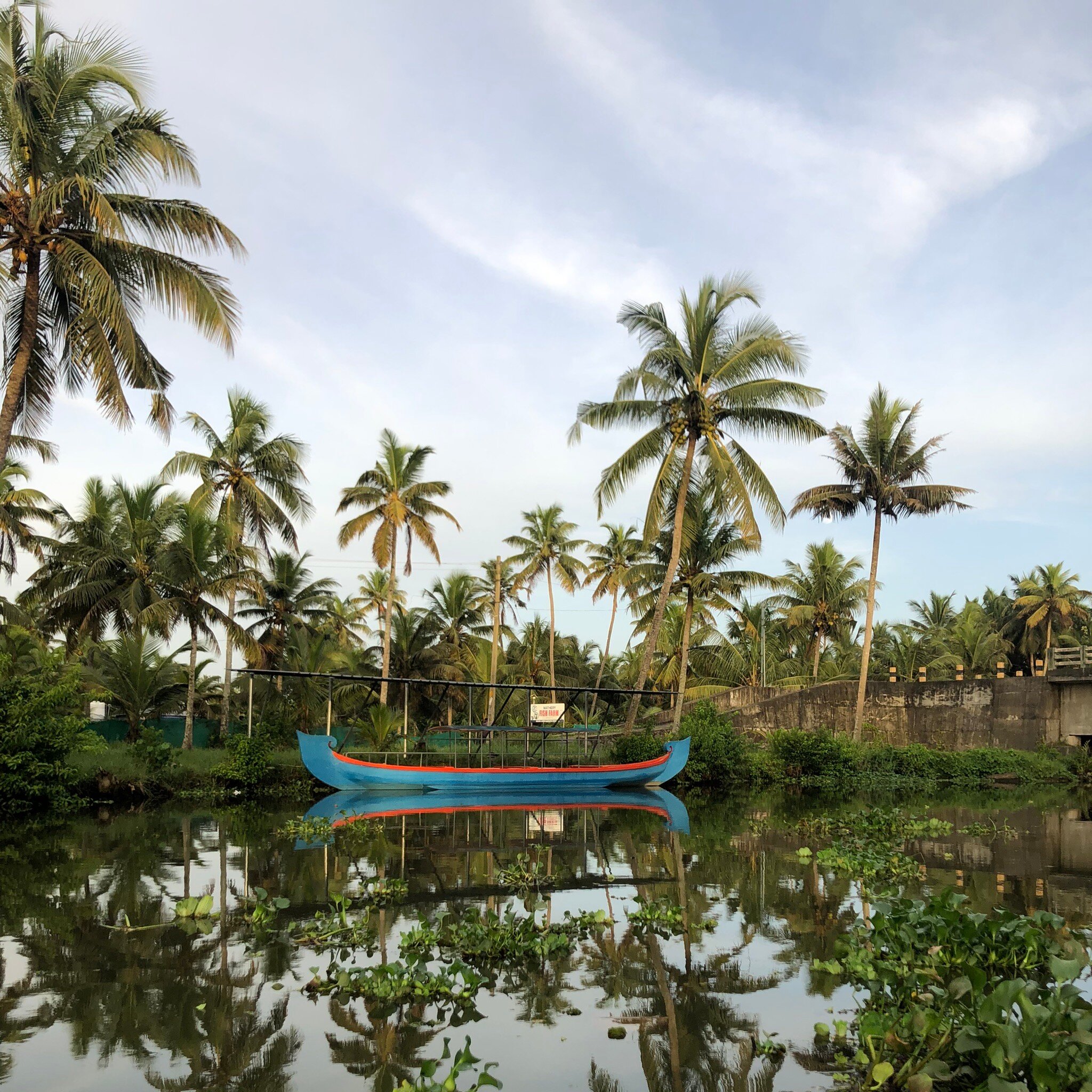 Ayurwakeup Ayurveda & Yoga Retreat-官方