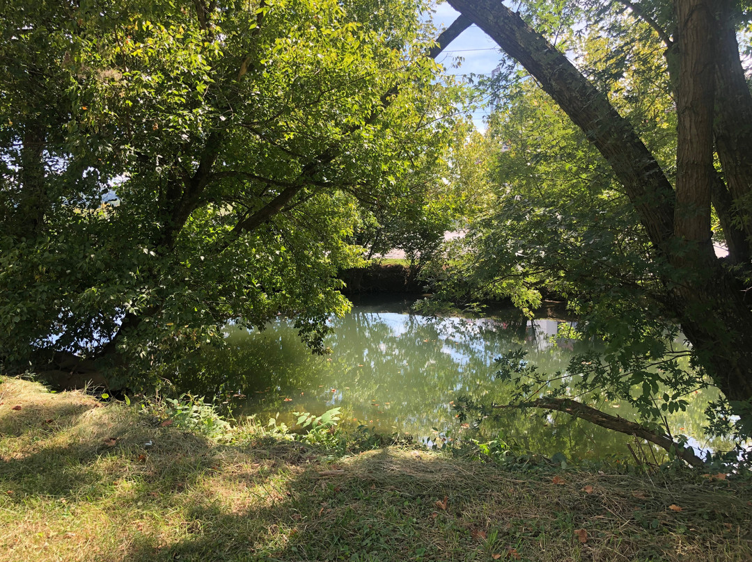 Earhart Campground