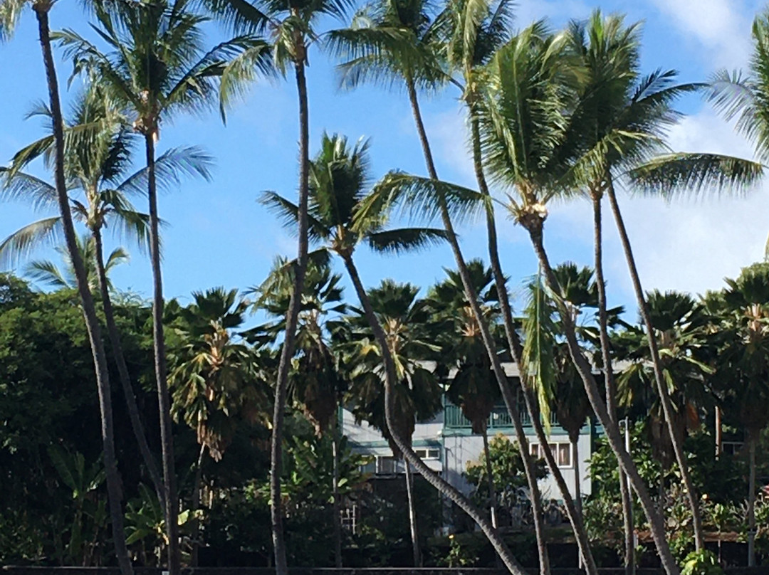 Kamehameha III Birthplace-Kahaluu-Keauhou必去景点