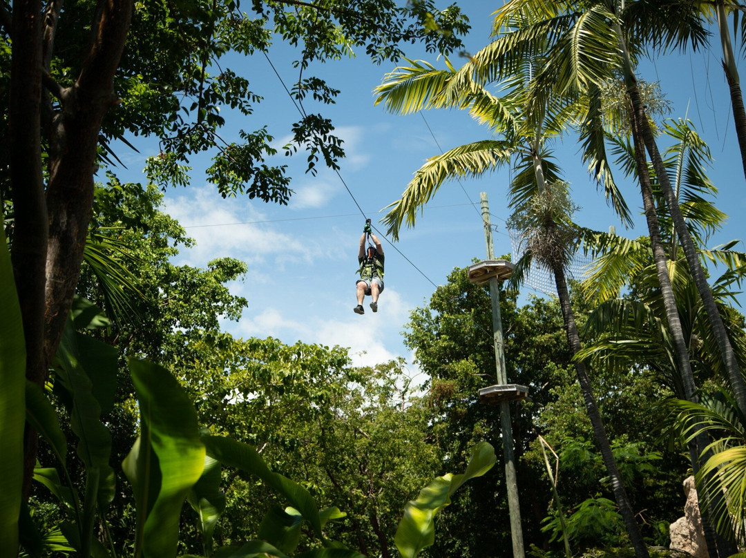 Treetop Trekking Miami-迈阿密必去景点