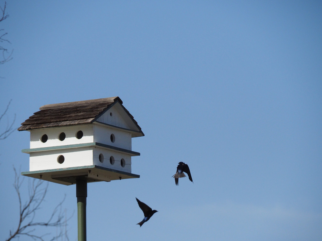 South Llano River State Park-Junction必去景点