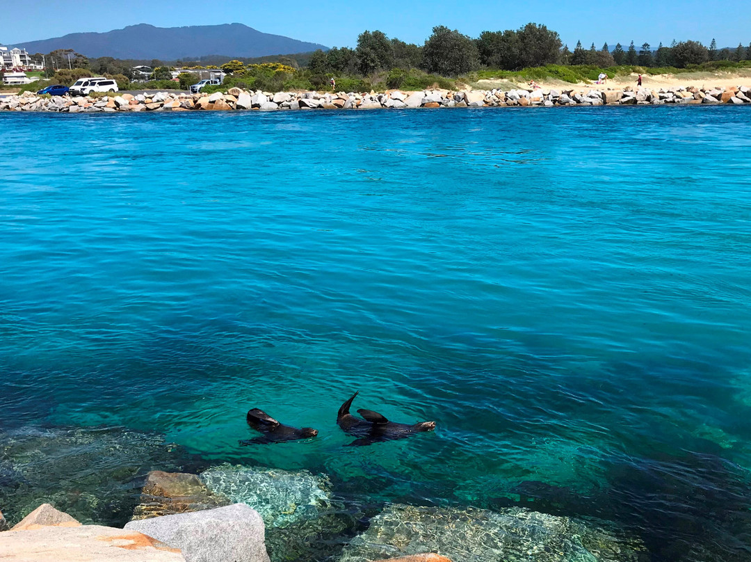 海岸舒适旅馆主图