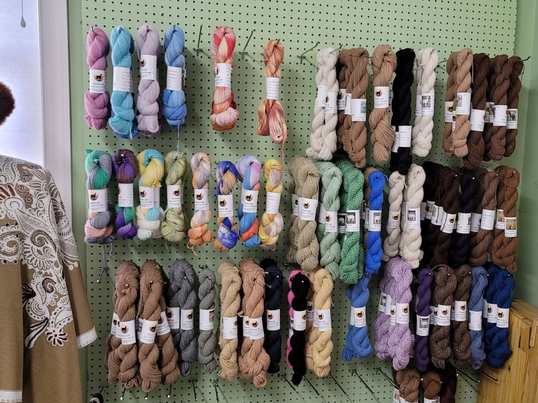 Painted Sky Alpaca Farm LLC-Earleville必去景点