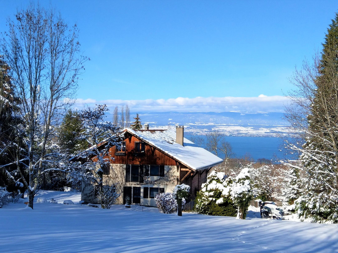 Reyvroz酒店住宿-Domaine de l'Olifant