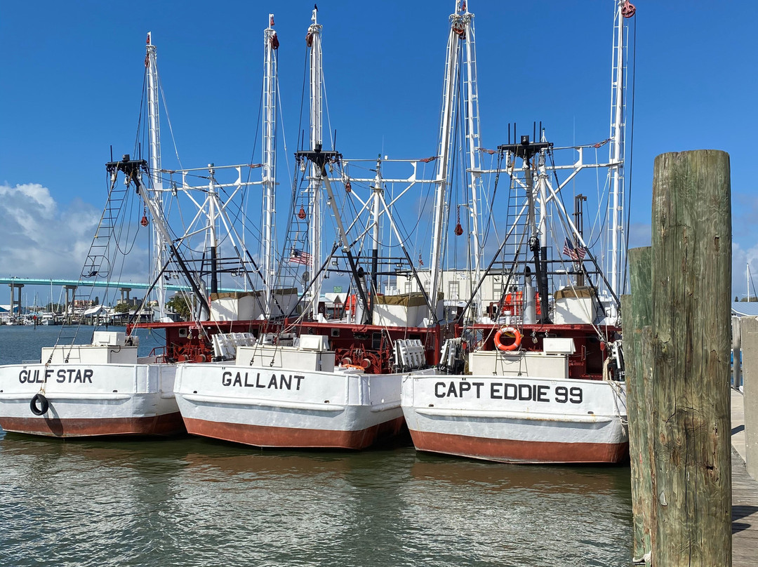 Ostego Bay Marine Science Center-迈尔斯堡海滩必去景点
