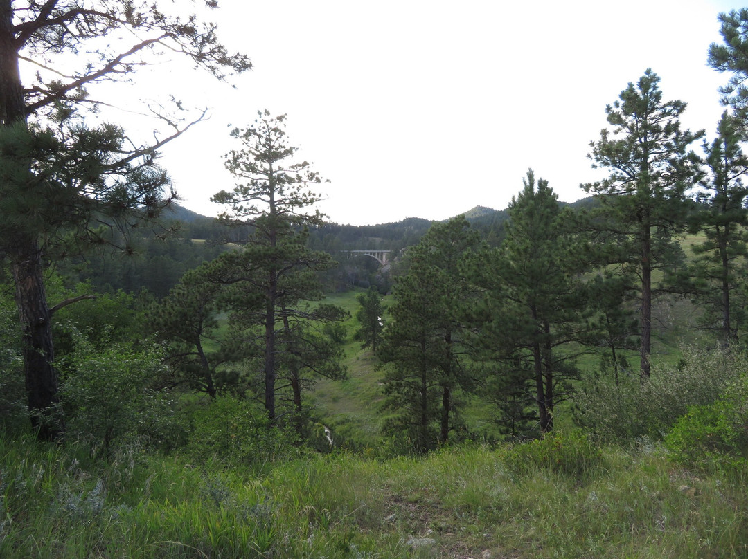 Beaver Creek Bridge-Wind Cave National Park必去景点
