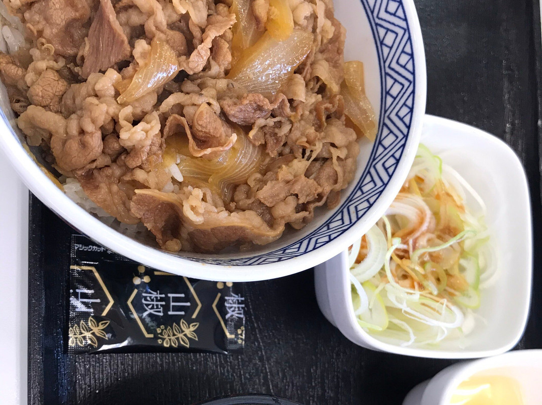 吉野家 ２号線早島店